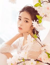 顧少追妻道且長小說