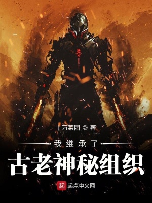 我繼承了古老神秘組織小說免費閱讀無刪減