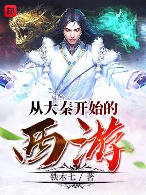 從大秦開始的西游講的什么