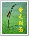 夫君太多喂不飽