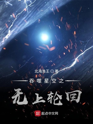 吞噬星空之無上輪回小說簡介