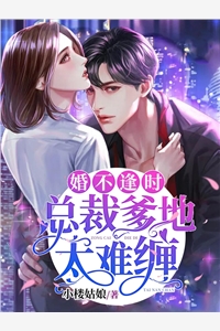 公府貴媳